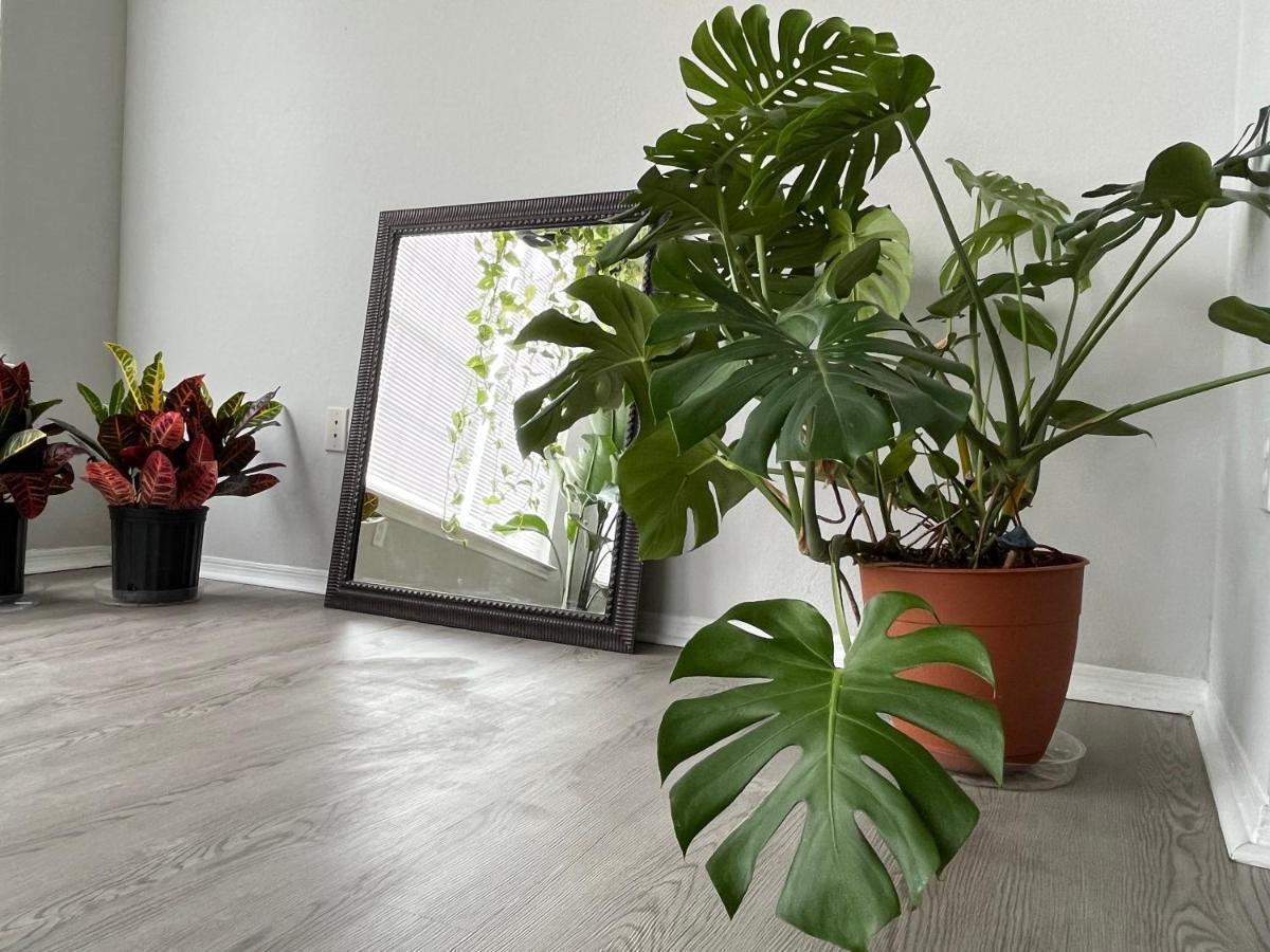 Next To Universal! 2Bedroom-2Bath-Many Indoor Plants أورلاندو المظهر الخارجي الصورة